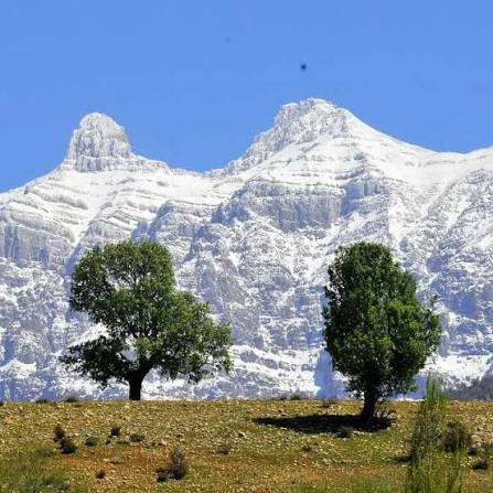 کوه دنا.jpg | کوه دنا | سی‌سخت